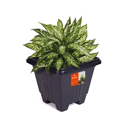 VASO QUADRADO GRANDE 16,5L